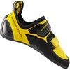 Yellow Black